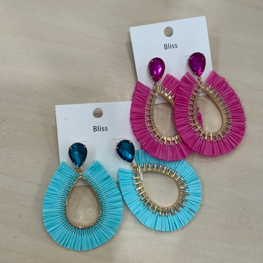 Fringe and jewel Earrings