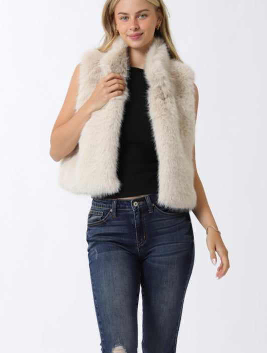 Baby It’s Cold Outside Vest